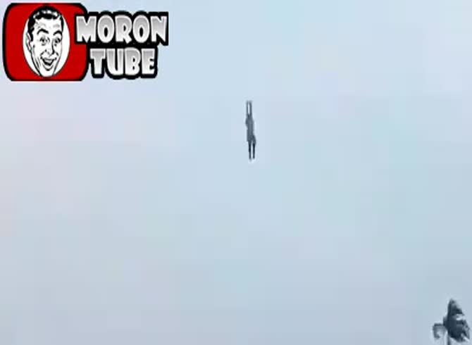 Video :It lives by miracle after being taken to an amazing altitude by a kite